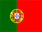 mostrar a versão em portugues